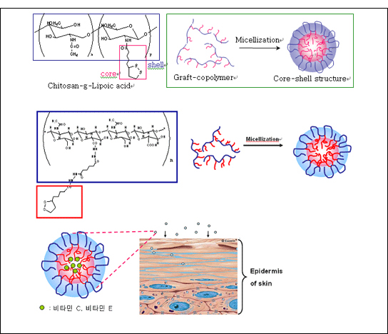 Nano Structured Anti-Oxidant using Biopolymer image